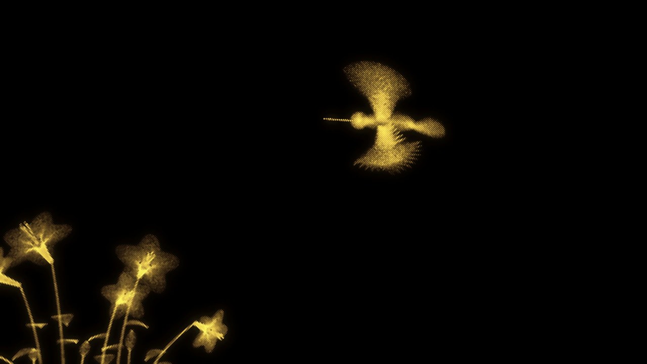 Diseño interactivo Trochil Hummingbird
